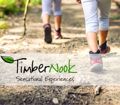 TN Web Banner 1600 x 900 px